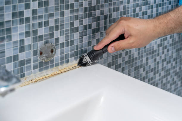 Best Mold Removal Company Near Me  in Hurley, NM